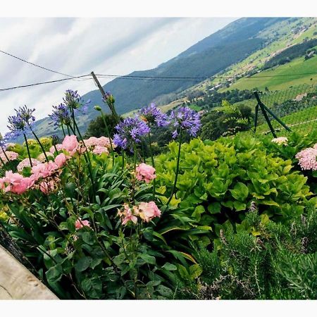 La Casa Del Acebal Guest House Solorzano Екстериор снимка